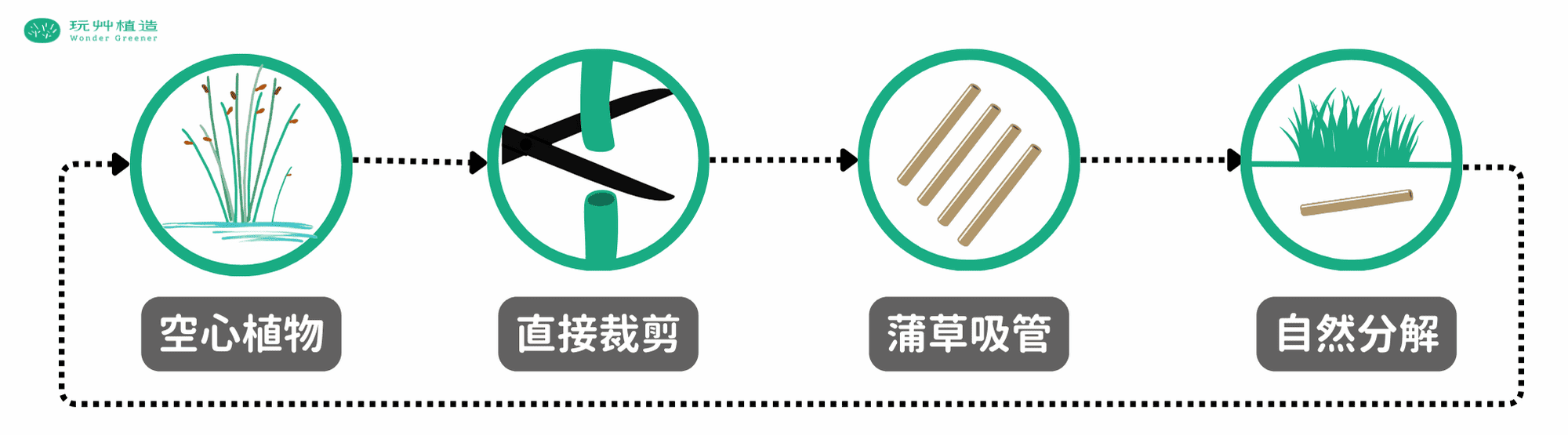 蒲草吸管的自然循環