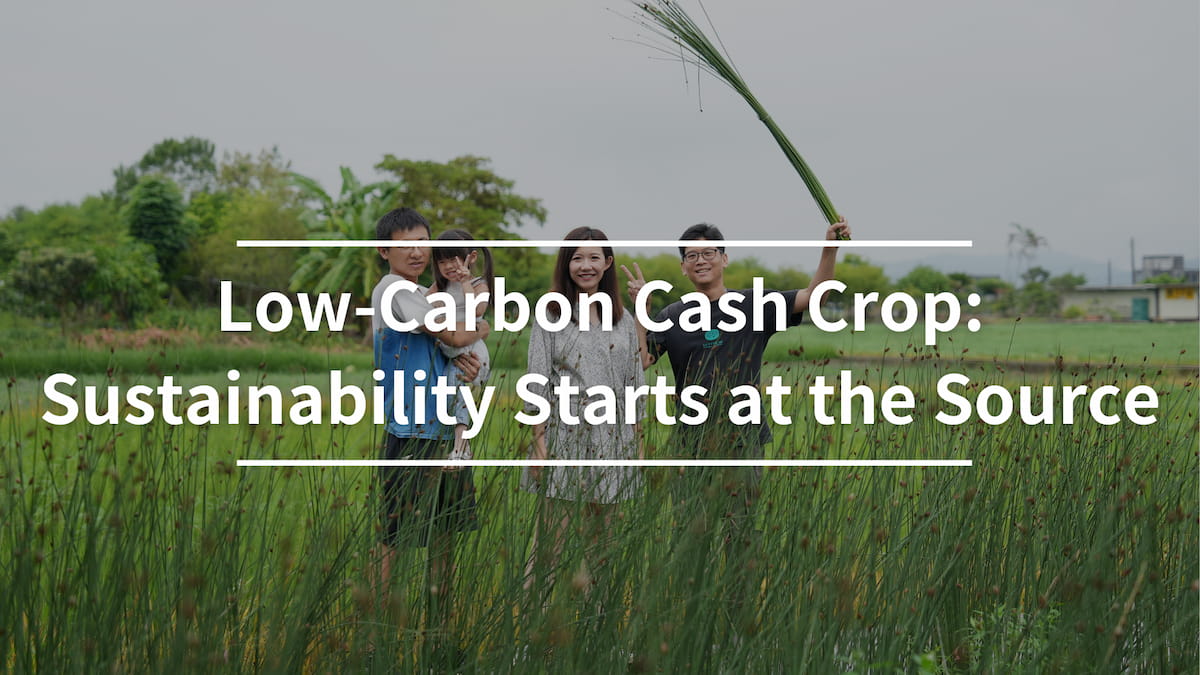 Low-Carbon Cash Crop: Sustainability Starts at the Source