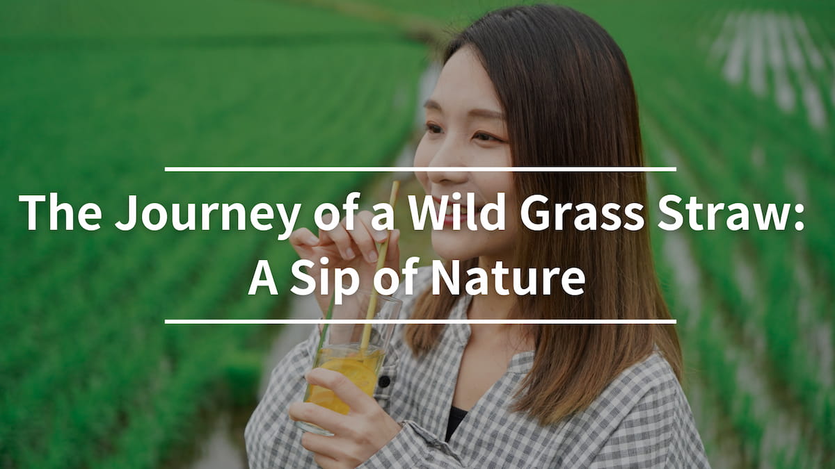 The Journey of a Wild Grass Straw: A Sip of Nature