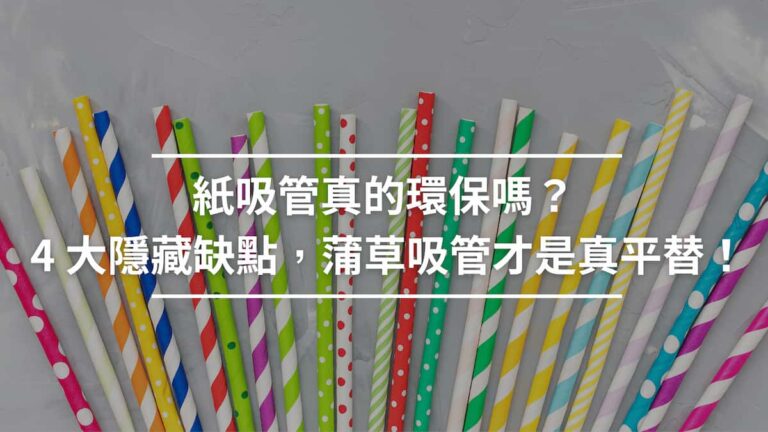 紙吸管真的環保嗎4大隱藏缺點