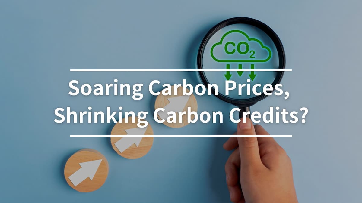 Soaring Carbon Prices, Shrinking Carbon Credits?