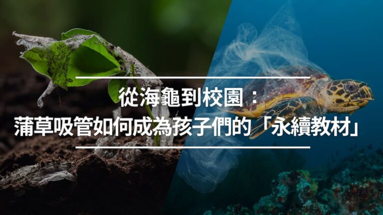從海龜到校園:蒲草吸管如何成為孩子們的「永續教材」