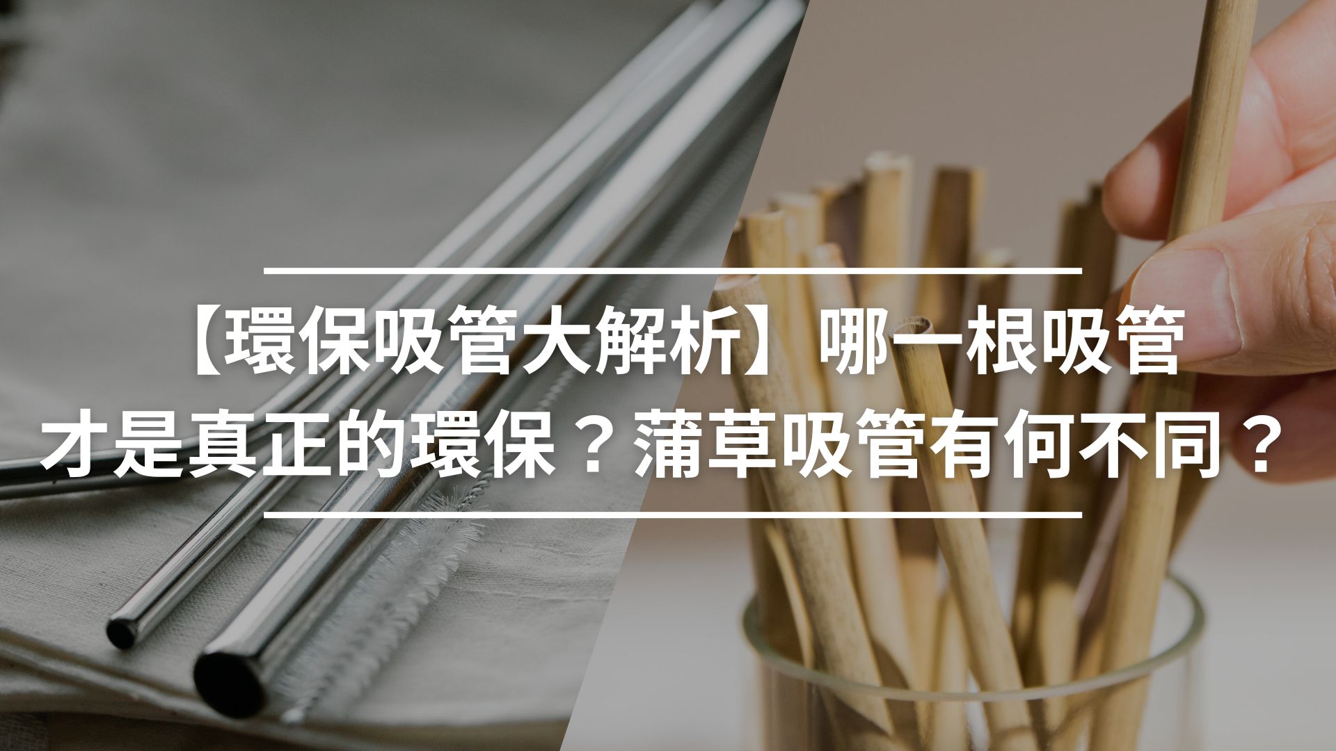 【環保吸管大解析】哪一根吸管才是真正的環保？蒲草吸管有何不同？