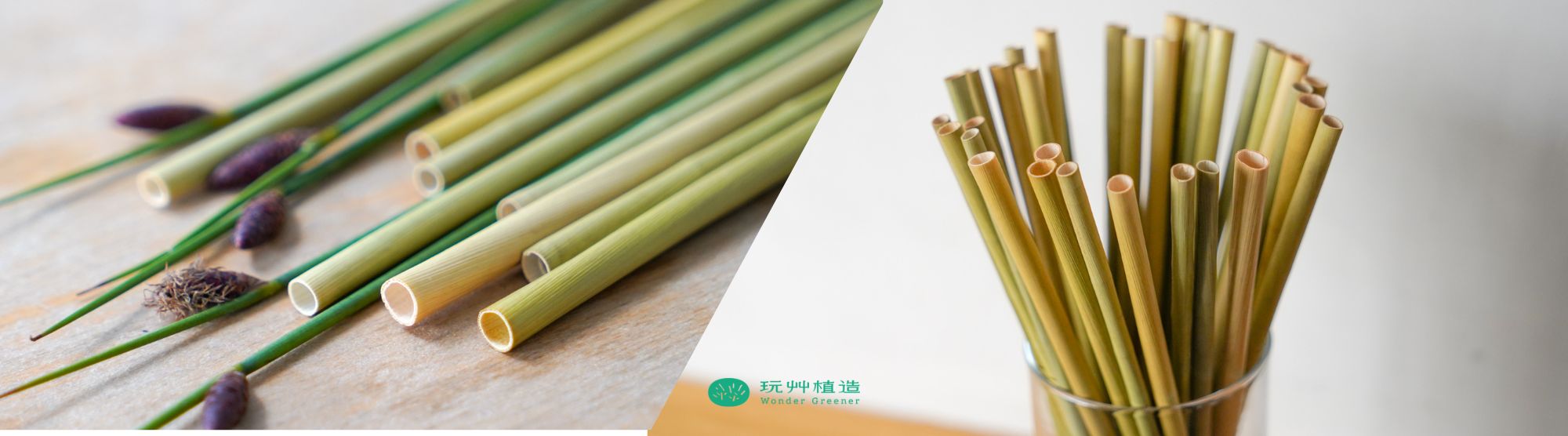植物吸管的原料真相
