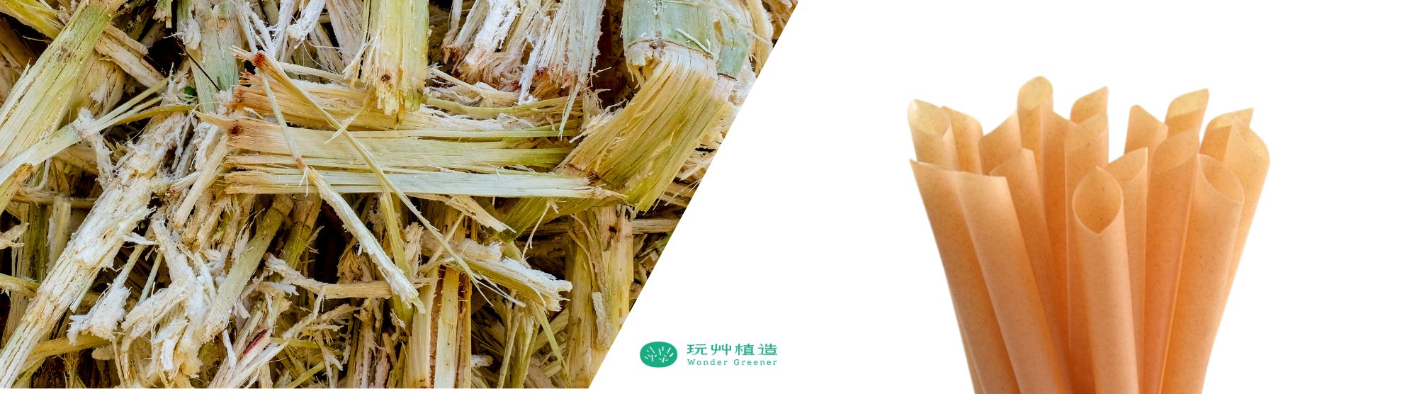 植物纖維吸管的原料真相