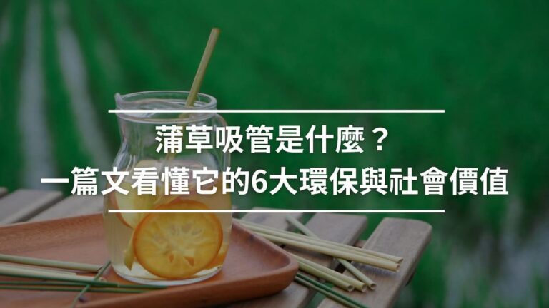 蒲草吸管是什麼？一篇文看懂它的6大環保與社會價值