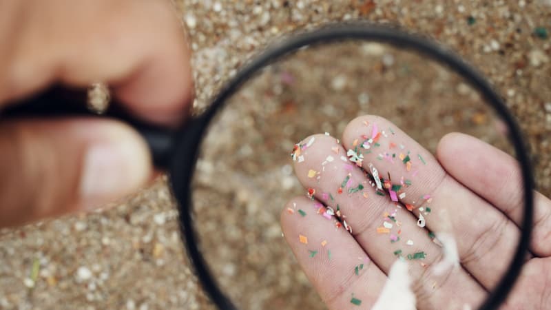 塑膠微粒的健康危害