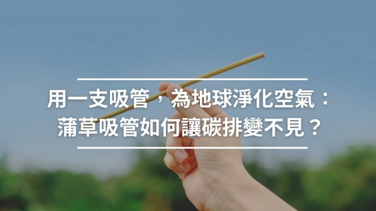 用一支吸管，為地球淨化空氣：蒲草吸管如何讓碳排變不見？