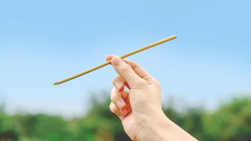 蒲草吸管為地球減少碳排放