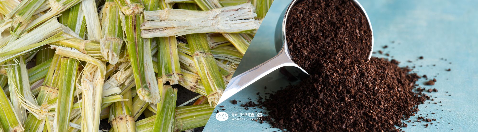 甘蔗渣_咖啡渣_茶葉植物纖維吸管_PBS吸管_PLA吸管