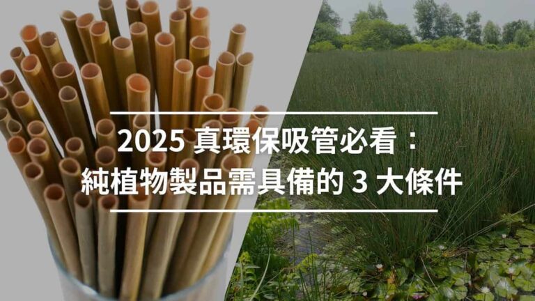 蒲草吸管 vs 植物纖維可分解吸管：真正環保吸管應符合的 3 個標準