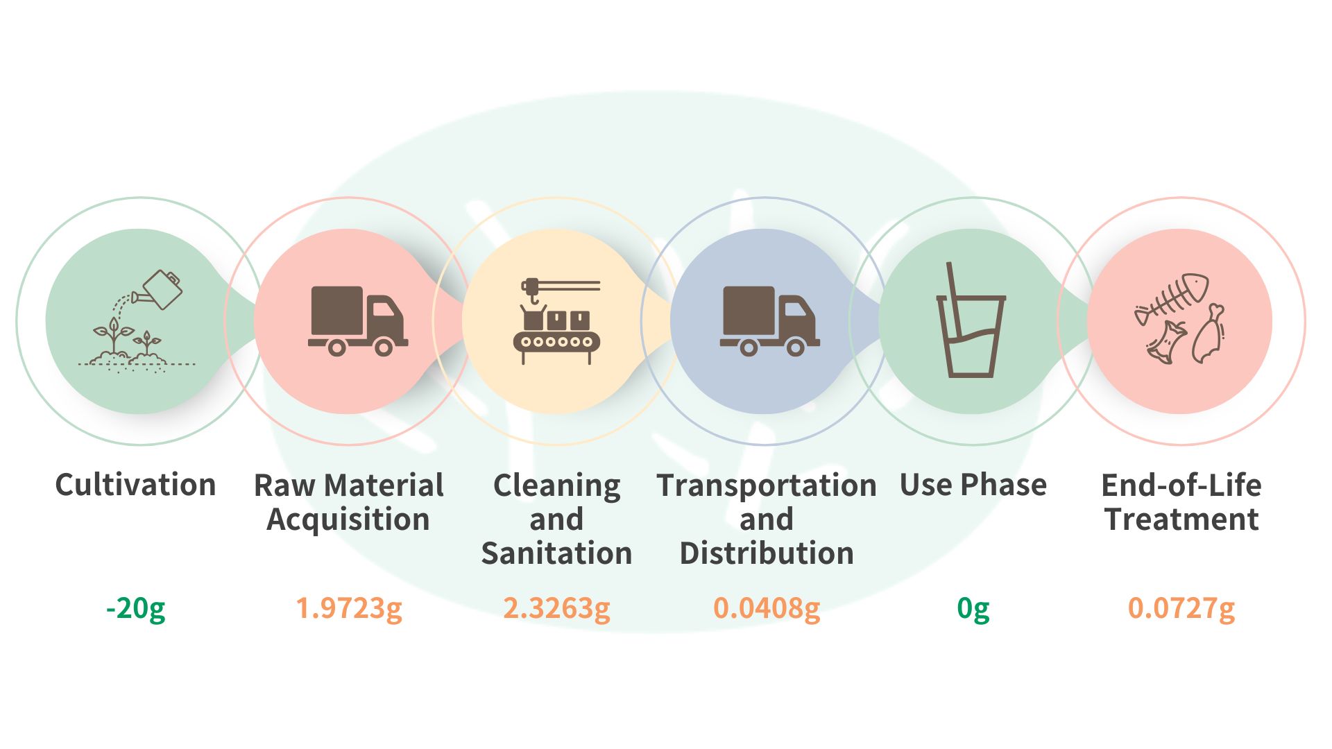 蒲草吸管生命週期