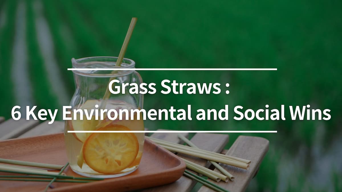 Grass Straws: 6 Key Environmental and Social Wins