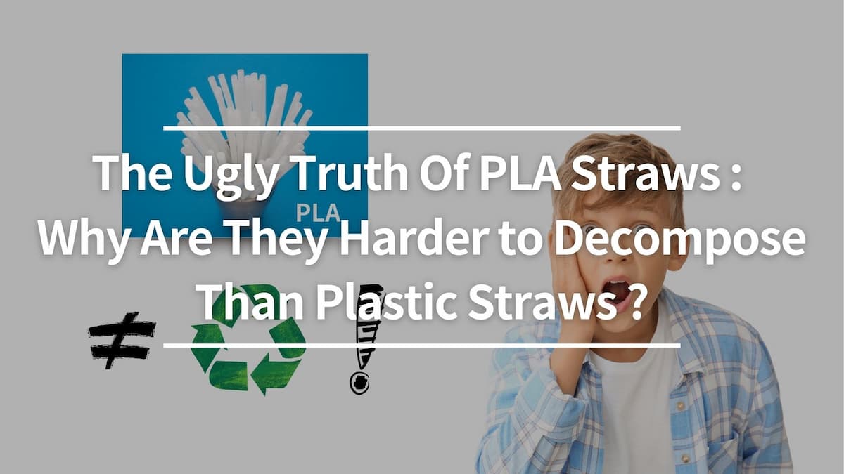 The Ugly Truth Of PLA Straws: Why Are They Harder to Decompose Than Plastic Straws?