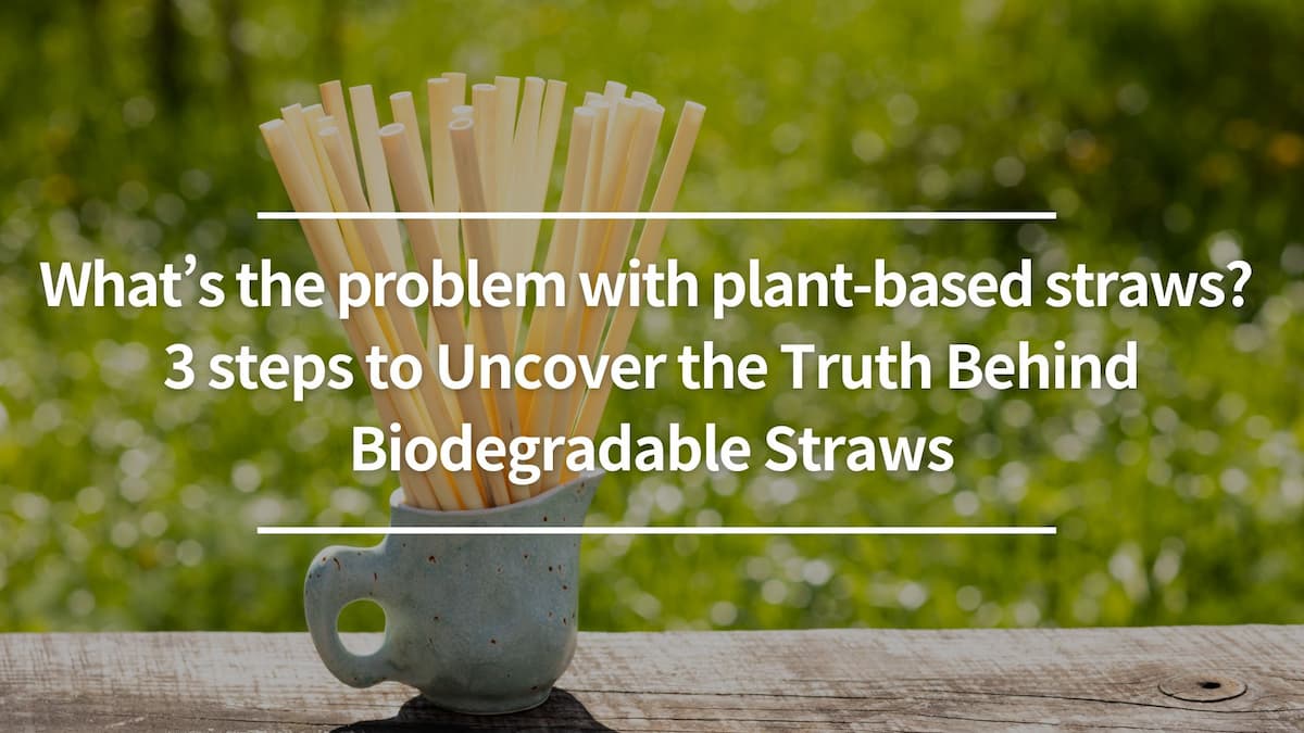 What’s the problem with plant-based straws? 3 steps to Uncover the Truth Behind Biodegradable Straws
