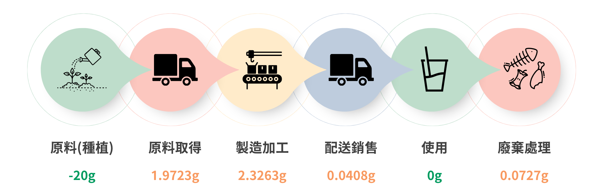 蒲草吸管生命週期