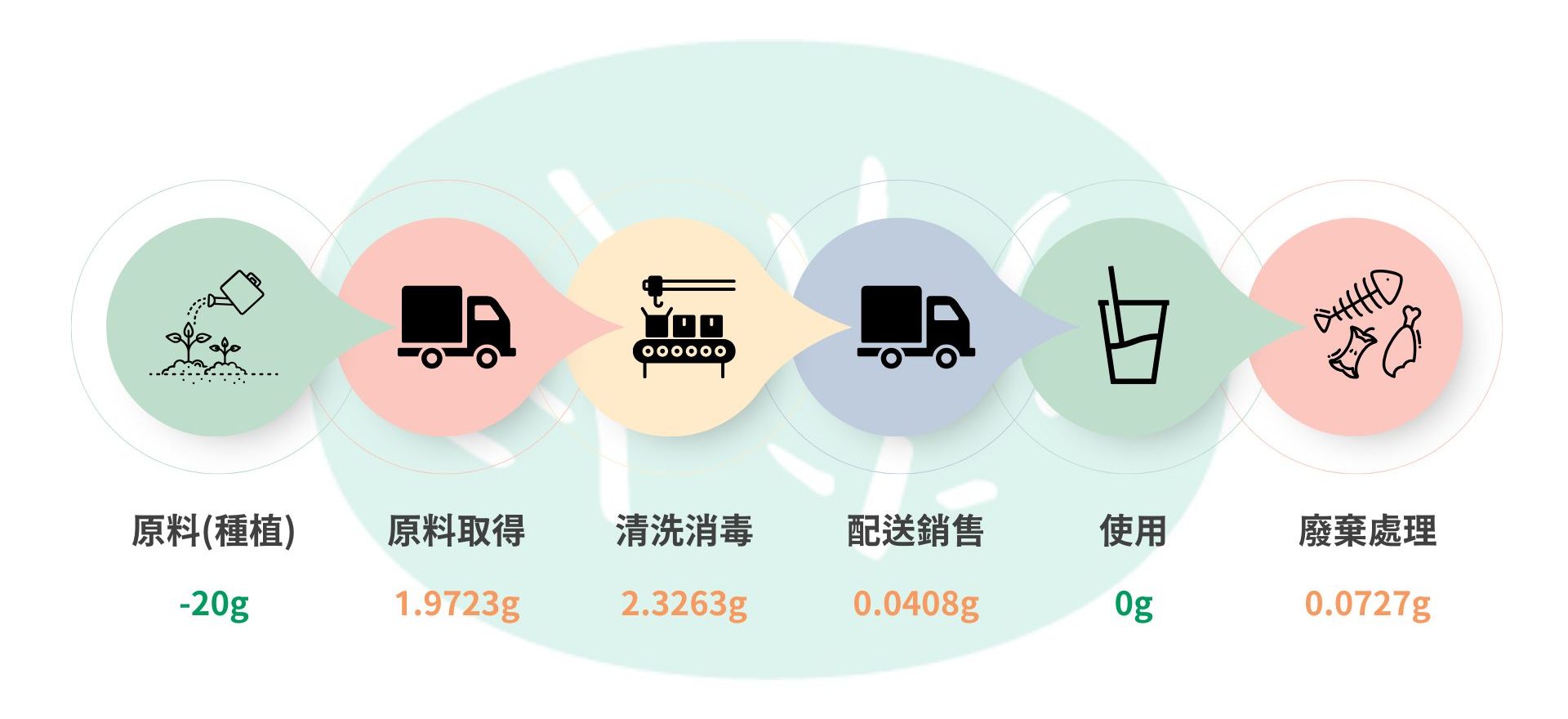 蒲草吸管生命週期
